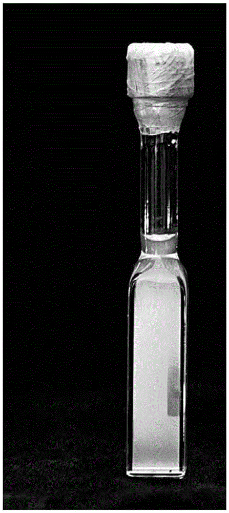 Device and method for photosensitizing the surface of a carrier to prepare metal nanomaterials