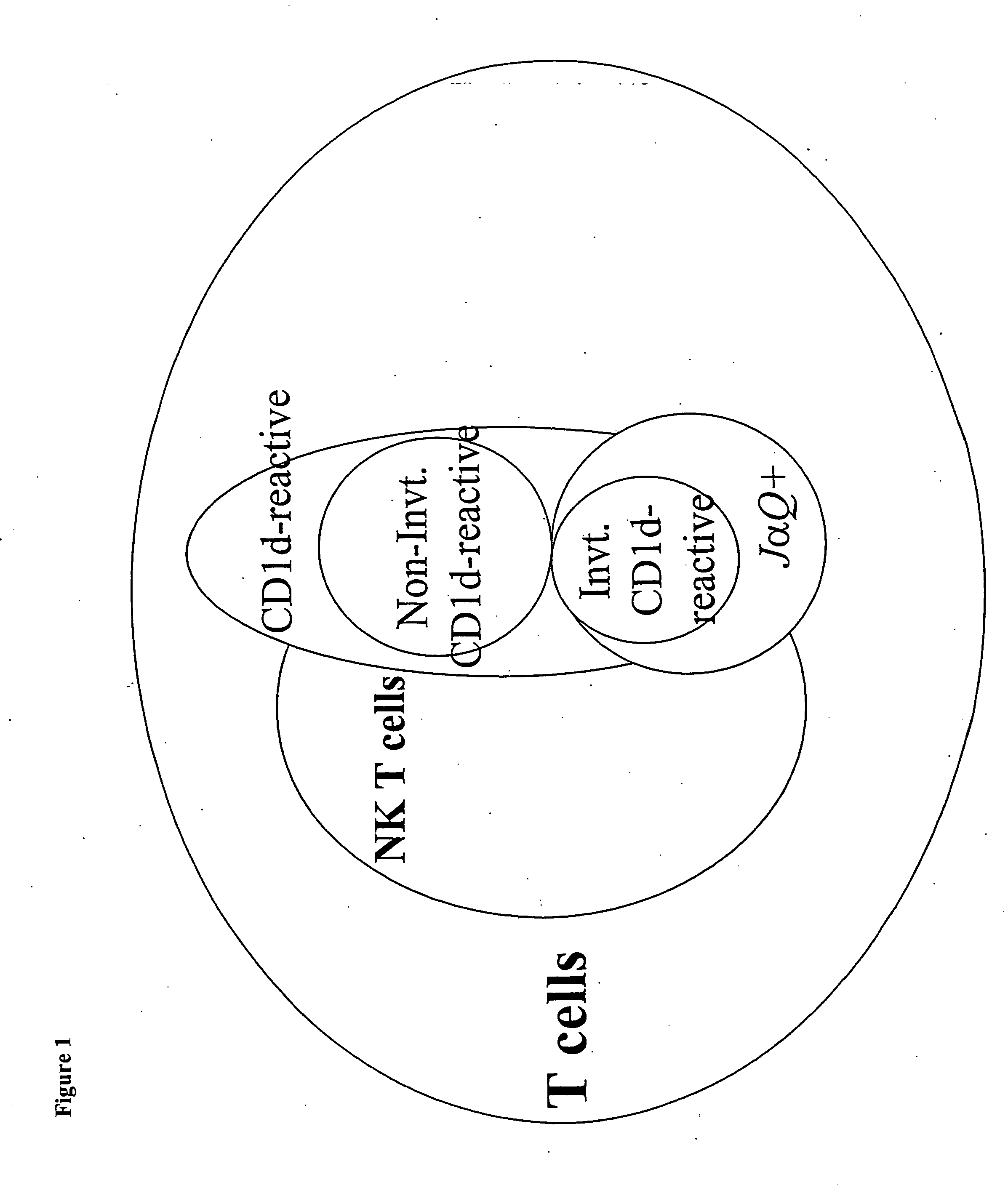 Compositions and methods of monoclonal and polyclonal antibodies specific for T cell subpopulations