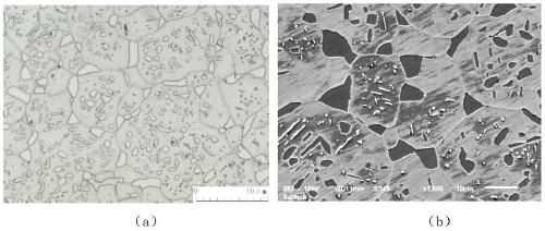 Etchant for observation and energy spectrum analysis of sigma phase through scanning electron microscope and using method thereof