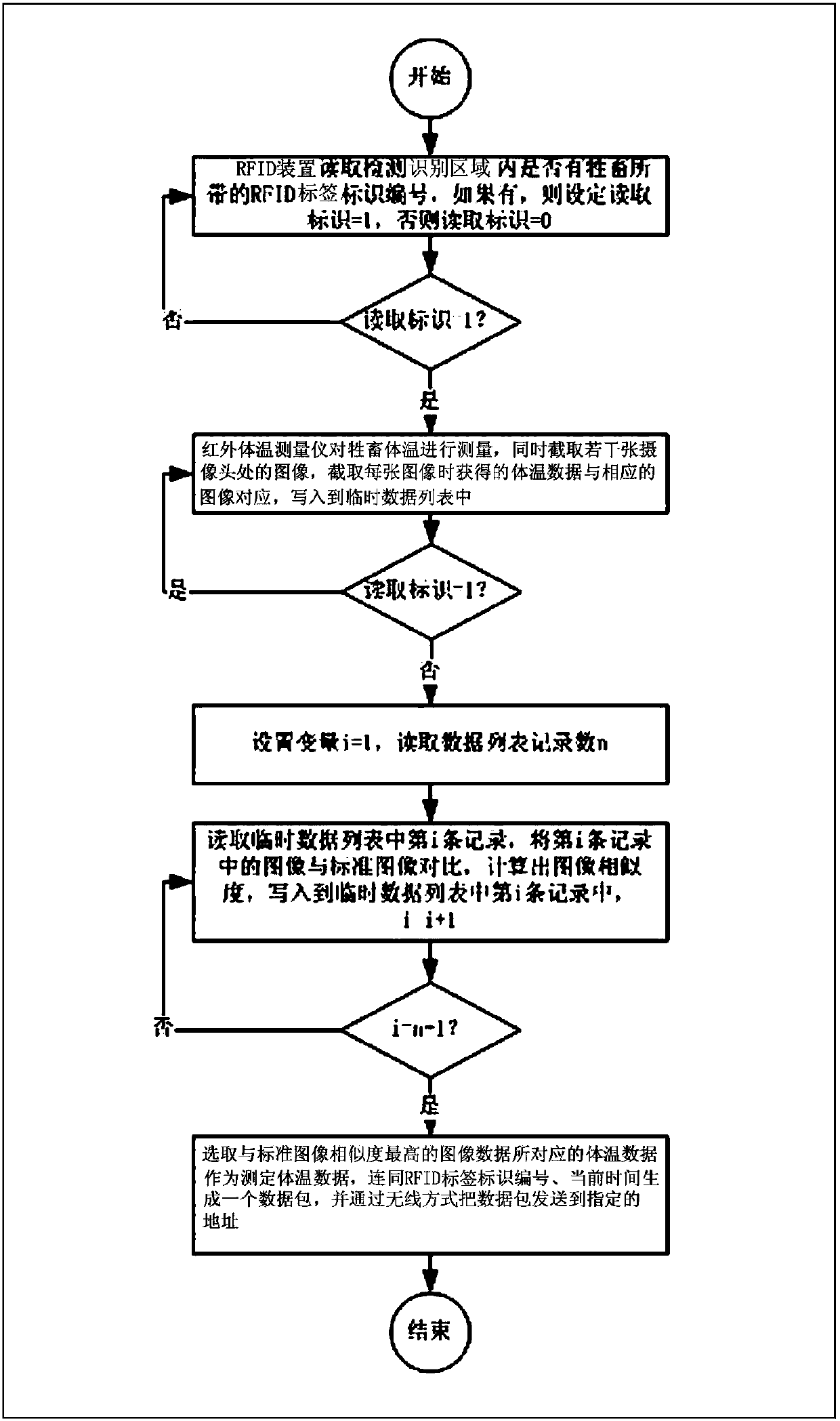 Livestock living body measurement equipment and method