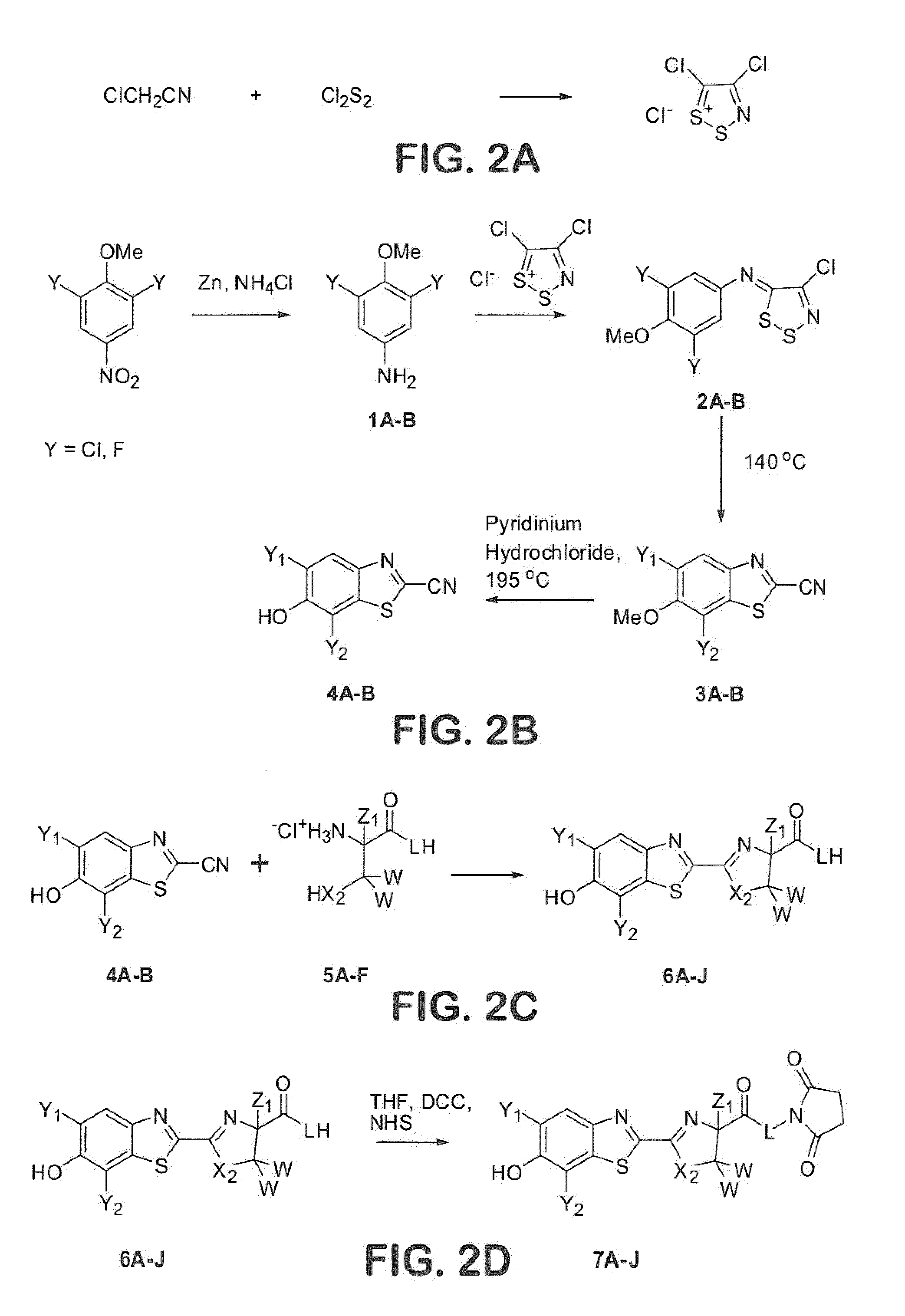 Novel Fluorescent Dyes and Uses Thereof