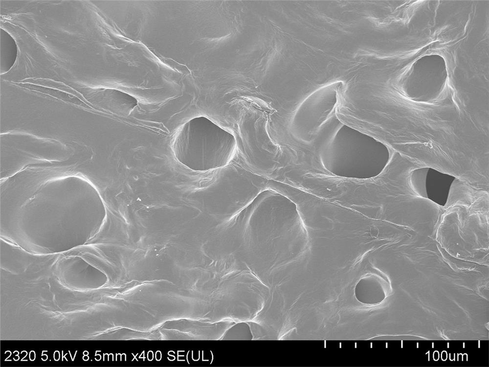 Method for preparing zwitter-ion hydrogel electrolyte