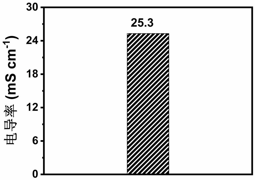 Method for preparing zwitter-ion hydrogel electrolyte