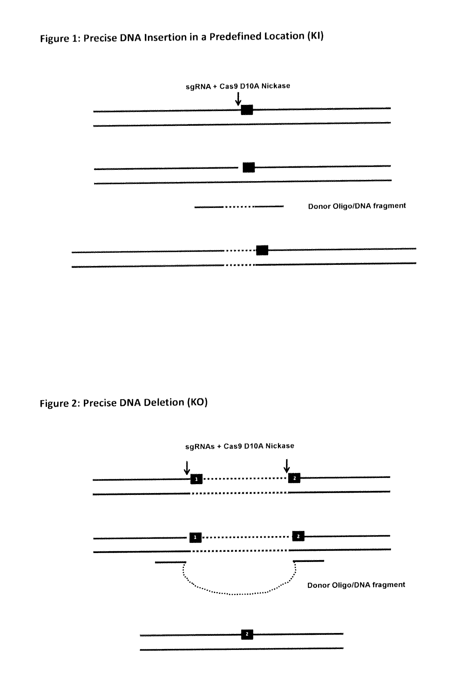 Methods, cells & organisms