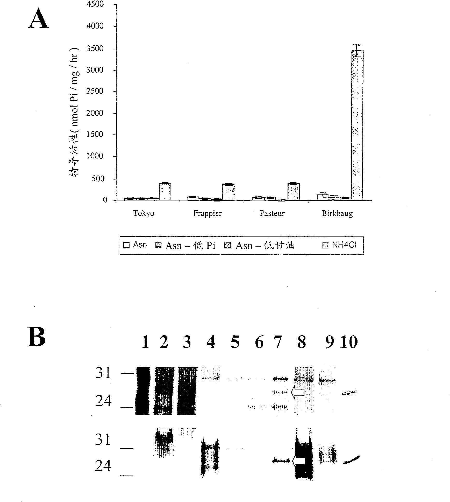 Secreted acid phosphatase (SAPM) is present only in pathogenic mycobacteria and expressed selectively at phagosomal PH