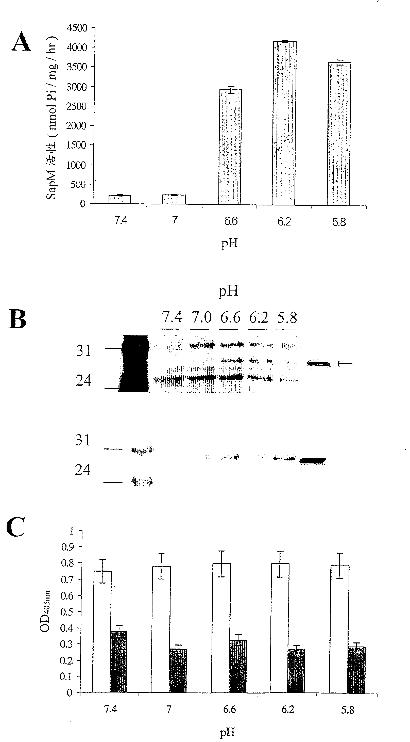 Secreted acid phosphatase (SAPM) is present only in pathogenic mycobacteria and expressed selectively at phagosomal PH