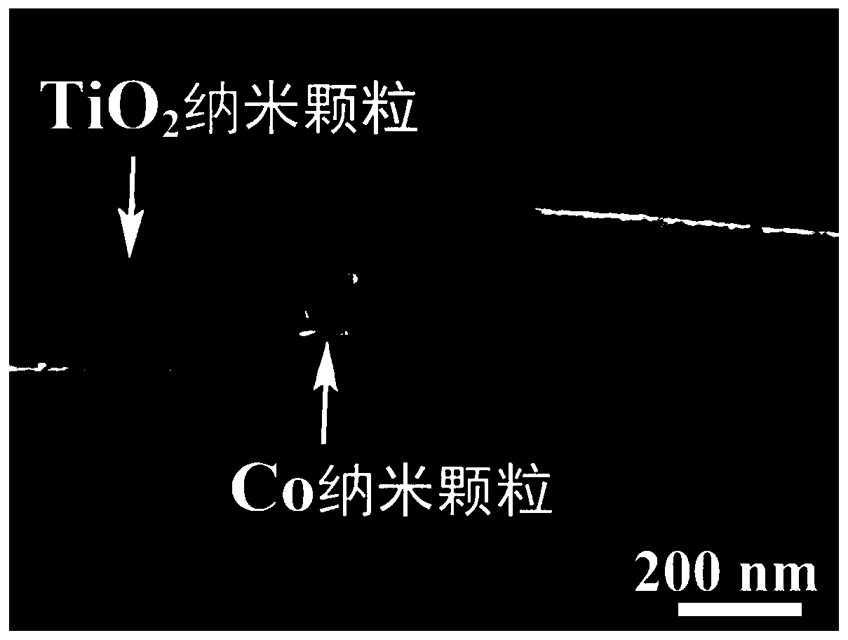 TiO2/Co-supported carbonaceous fiber electromagnetic wave absorbing material and preparation method and application thereof