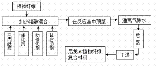 Nylon 6/plant fiber composite material and preparation method thereof