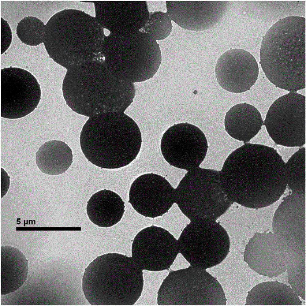 Preparation method for pH and temperature dual-sensitive ion micro-hydrogel