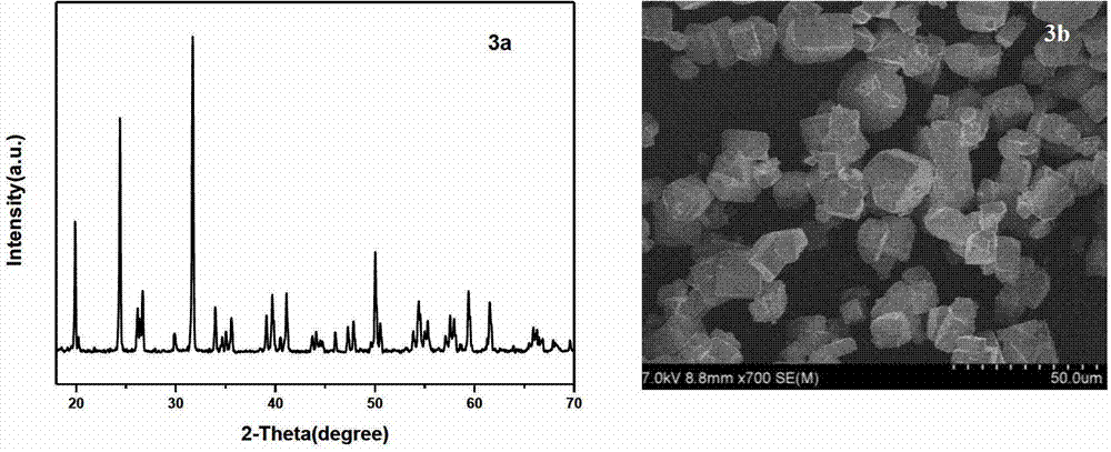 Method for synthesizing tellurium molybdate magnesium single crystal micro powder by using supercritical water system