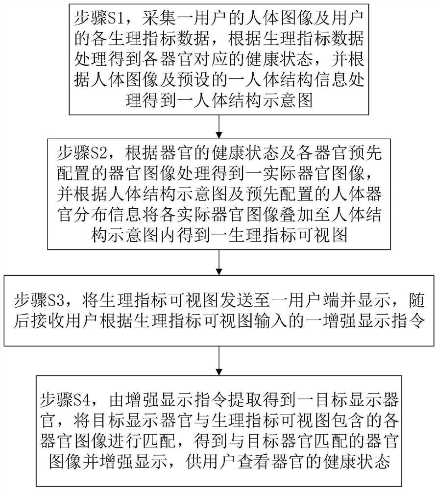 Physiological index visualization display method and system