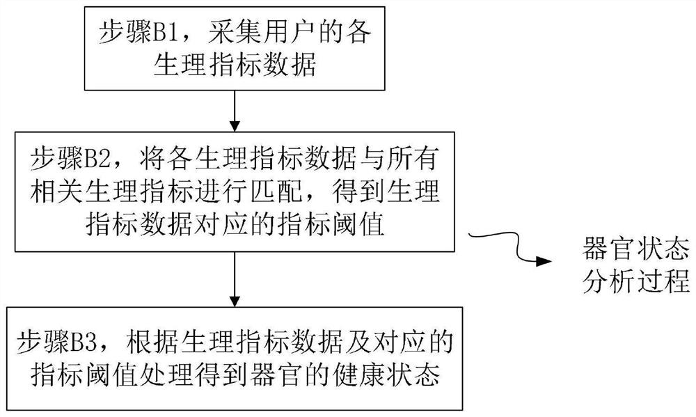 Physiological index visualization display method and system