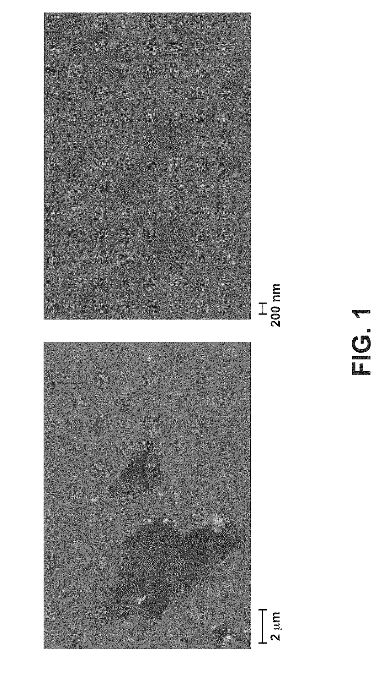 Nanocomposite Additives Based on Graphene Sheets and Silica Nanofibers