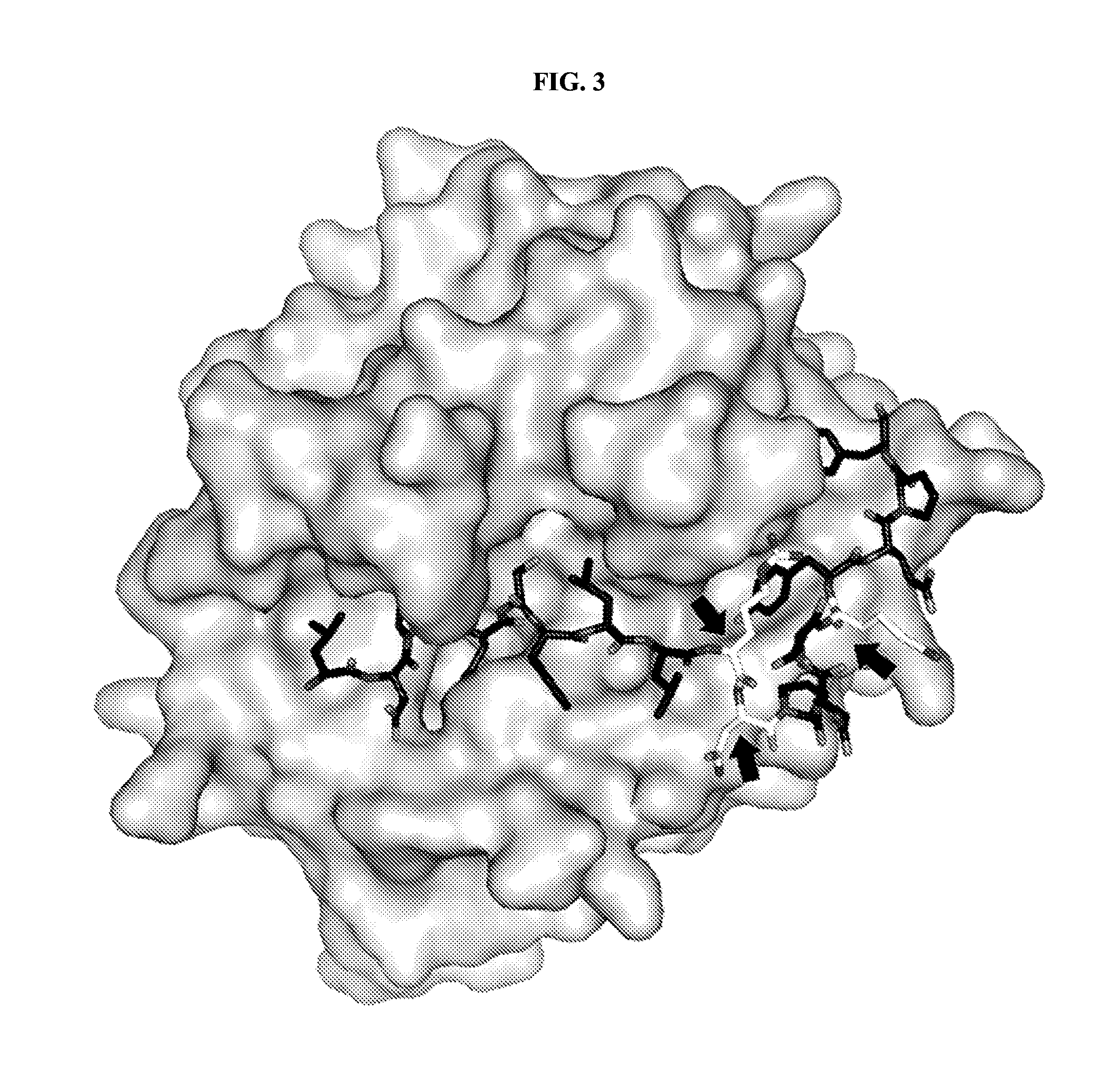 Activatable Membrane-Interacting Peptides and Methods of Use