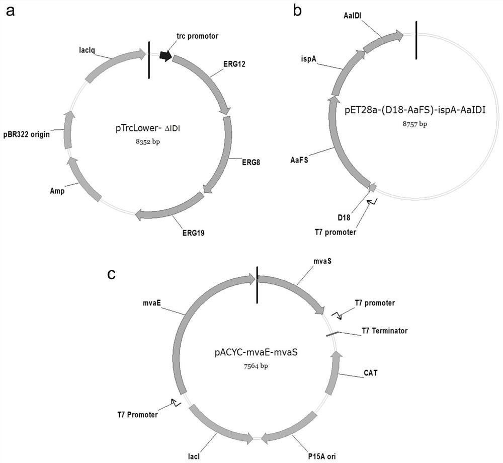 A kind of high-yielding farnesene recombinant bacteria and its construction method and application