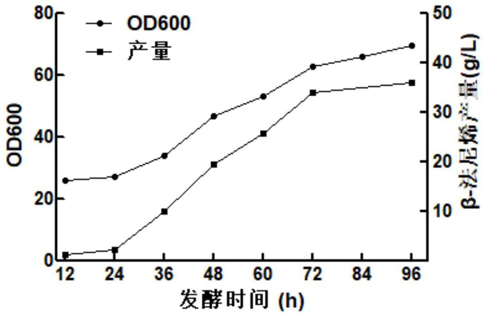 A kind of high-yielding farnesene recombinant bacteria and its construction method and application