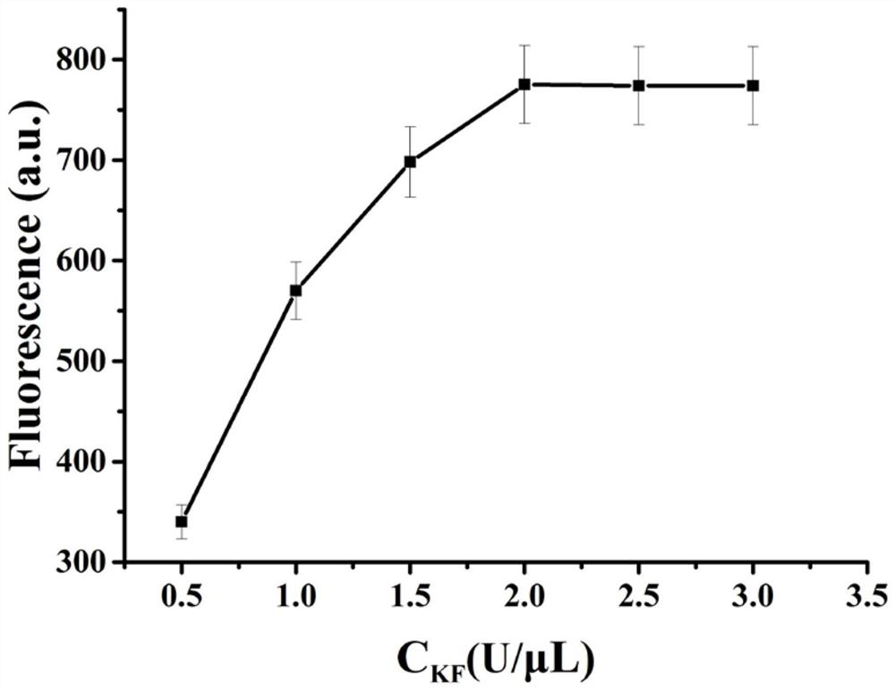 Fluorescent biosensor for detecting mercury ions