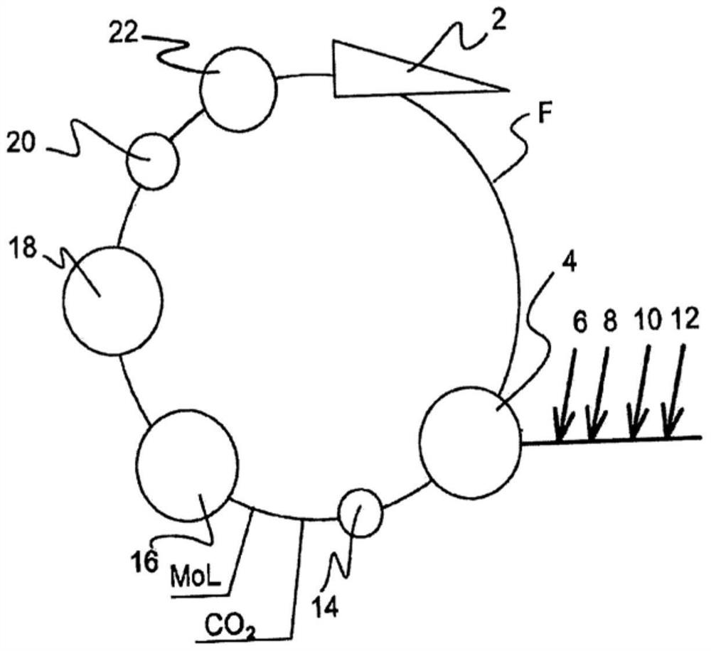 Plies for cardboard from in-line production methods