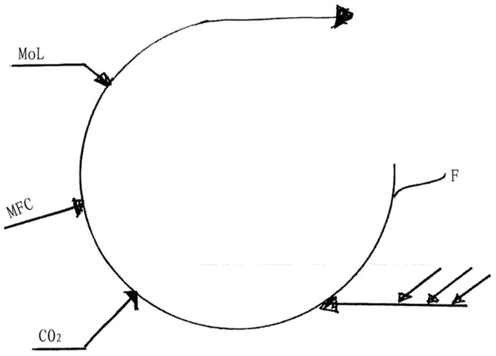 Plies for cardboard from in-line production methods