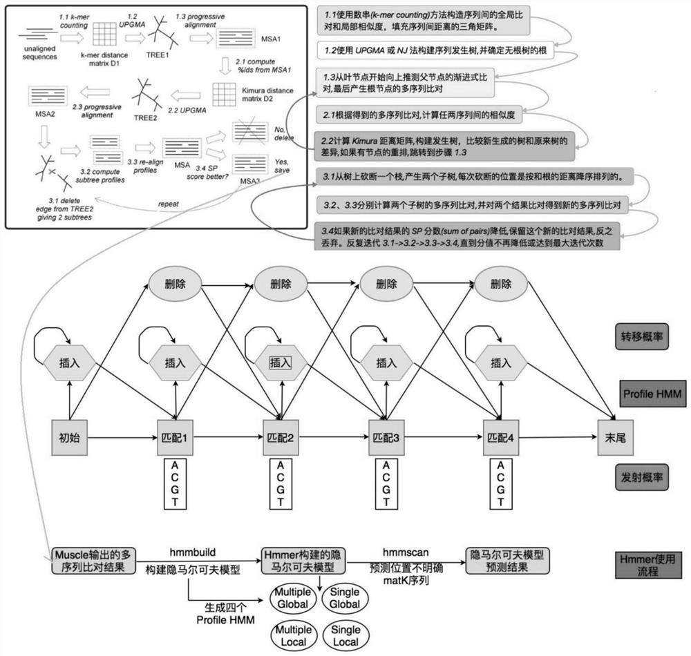 A construction method and database of unknown plant species identification database based on matk gene