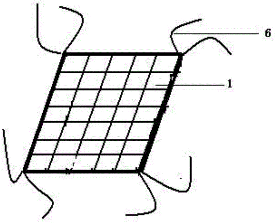 Bullfrog breeding feed platform