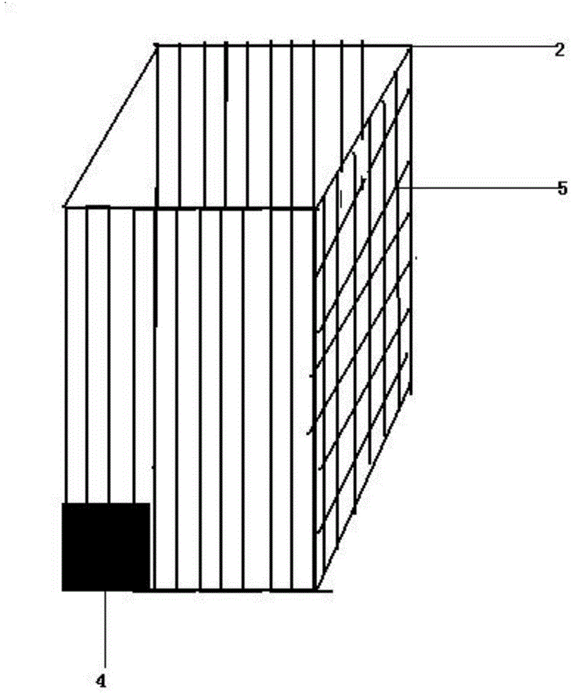 Bullfrog breeding feed platform