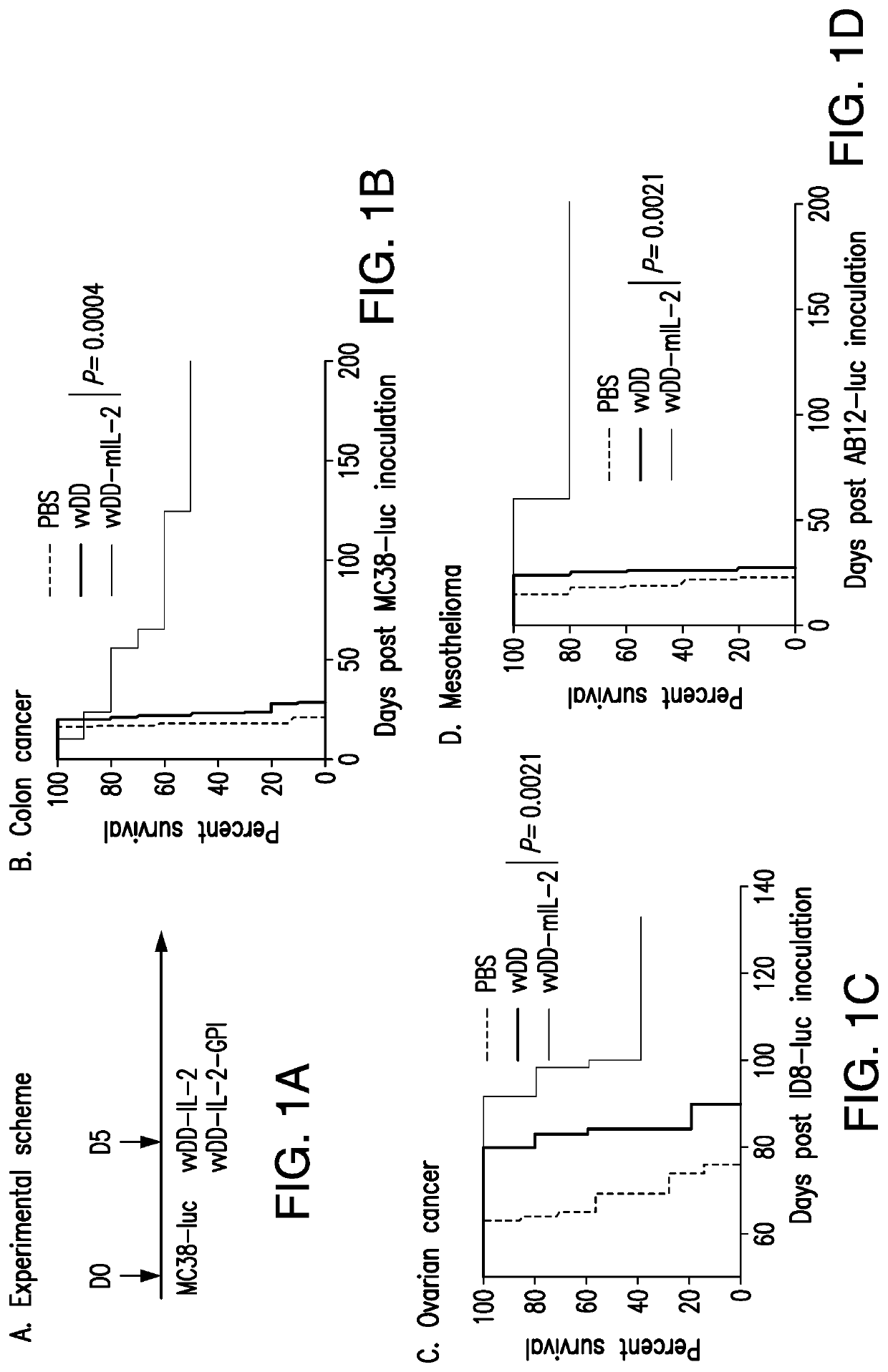 Oncolytic virus therapy