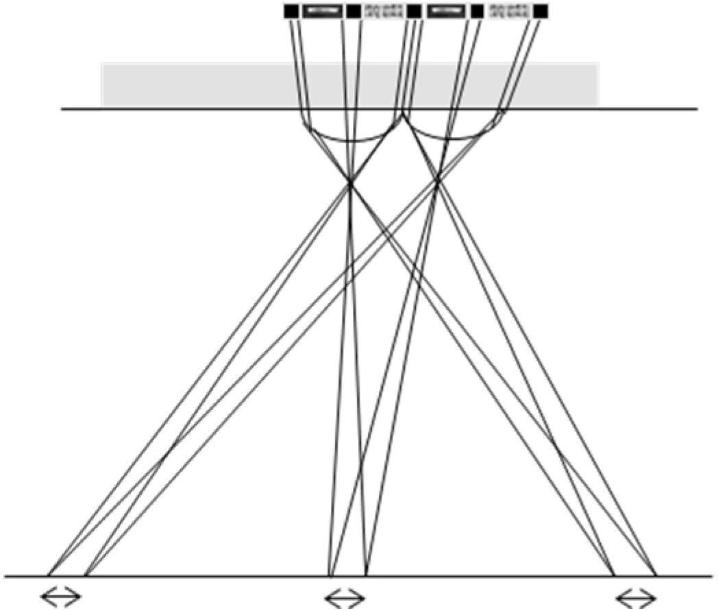 Lenticular lens grating, liquid crystal grating and display device