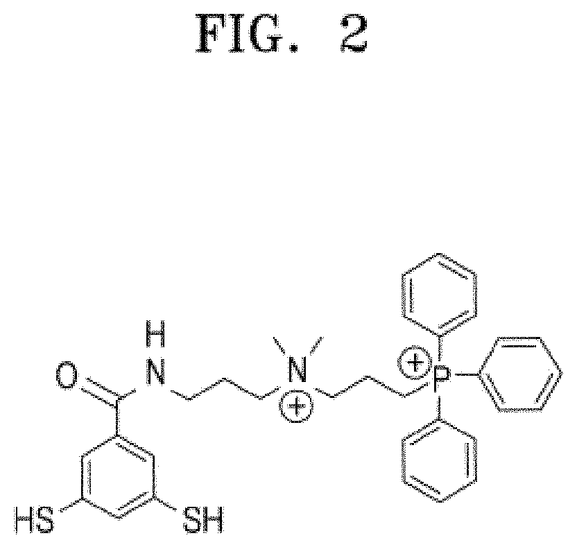 Mitochondria-targeting compound and composition comprising same for treating or preventing aging-related diseases