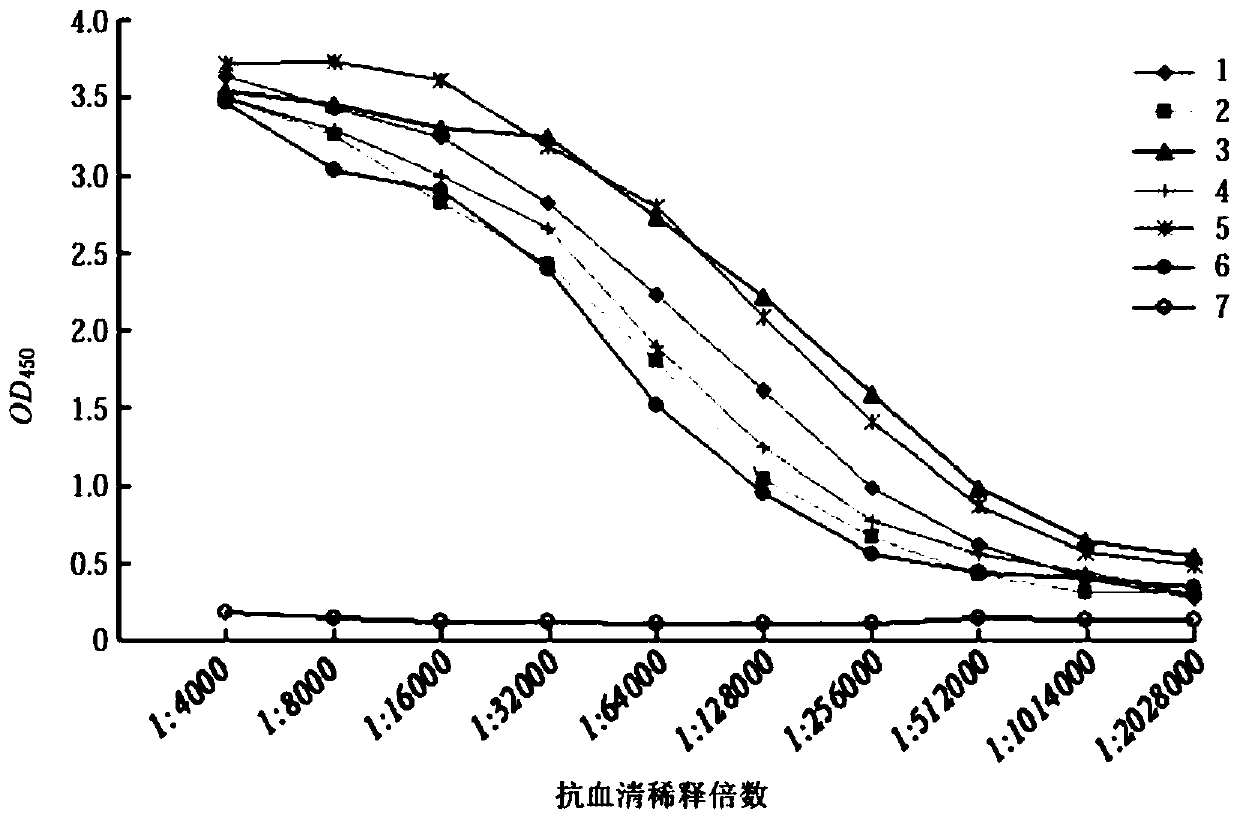 OX40 monoclonal antibody and application thereof