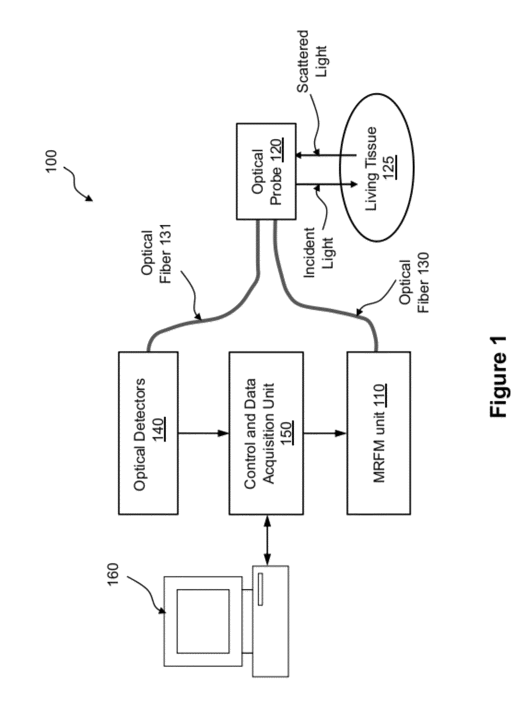 Multi-frequency RF modulated near infrared spectroscopy for hemoglobin measurement in blood and living tissues