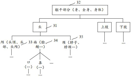 Synonym recognition model training method, synonym determination method and equipment