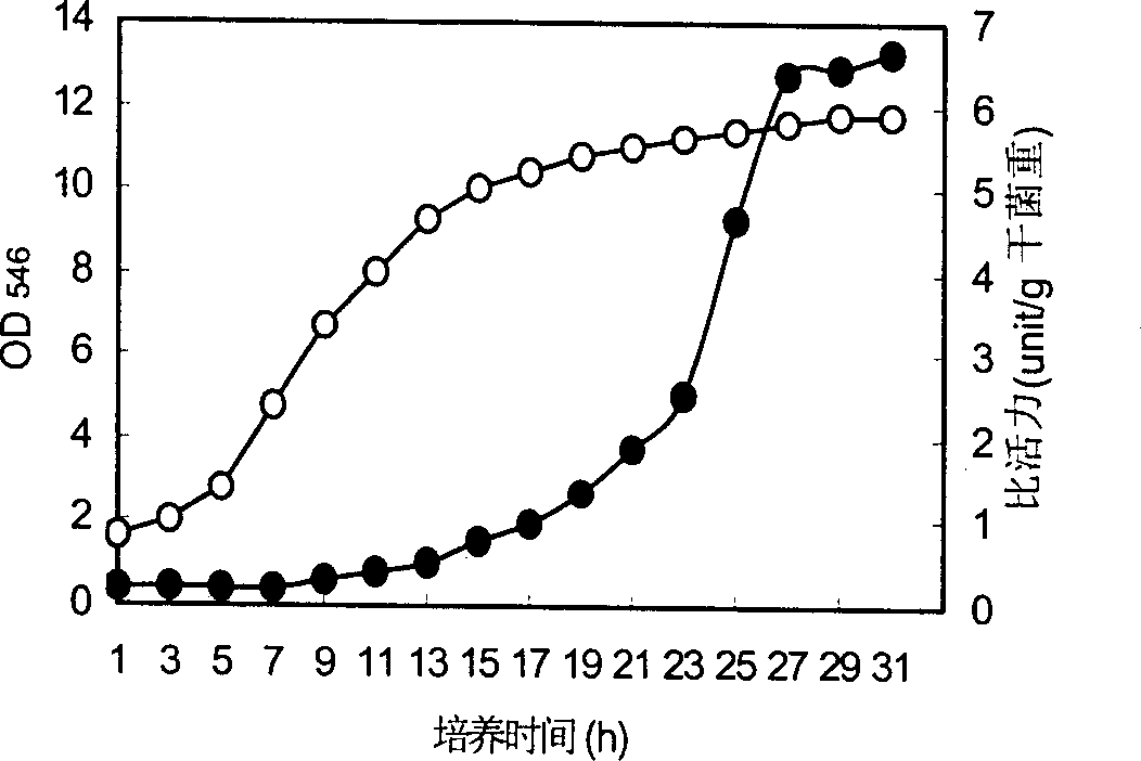 Rhodococcus sp.D12 and its culture method and application