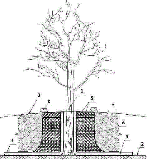 Method for reserving primeval big trees in process of terrain reform