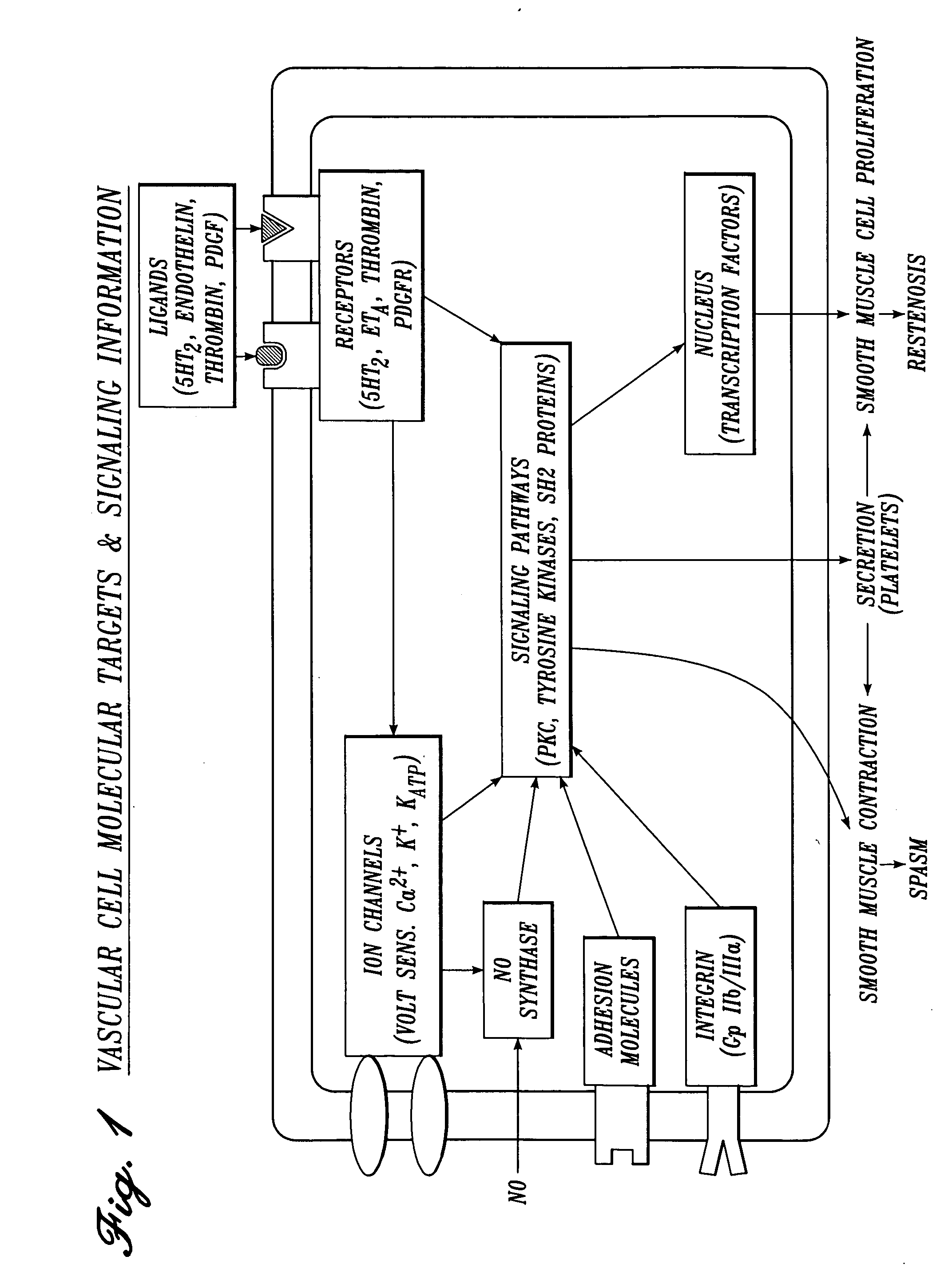 Irrigation solution and method for inhibition of pain and inflammation