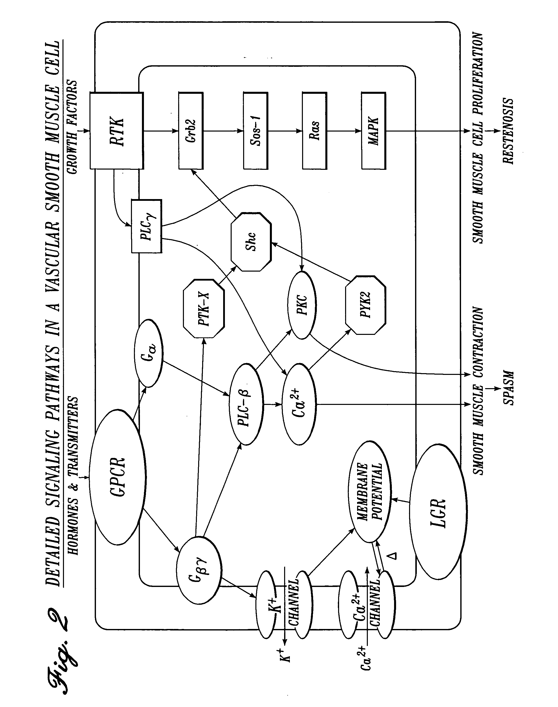 Irrigation solution and method for inhibition of pain and inflammation