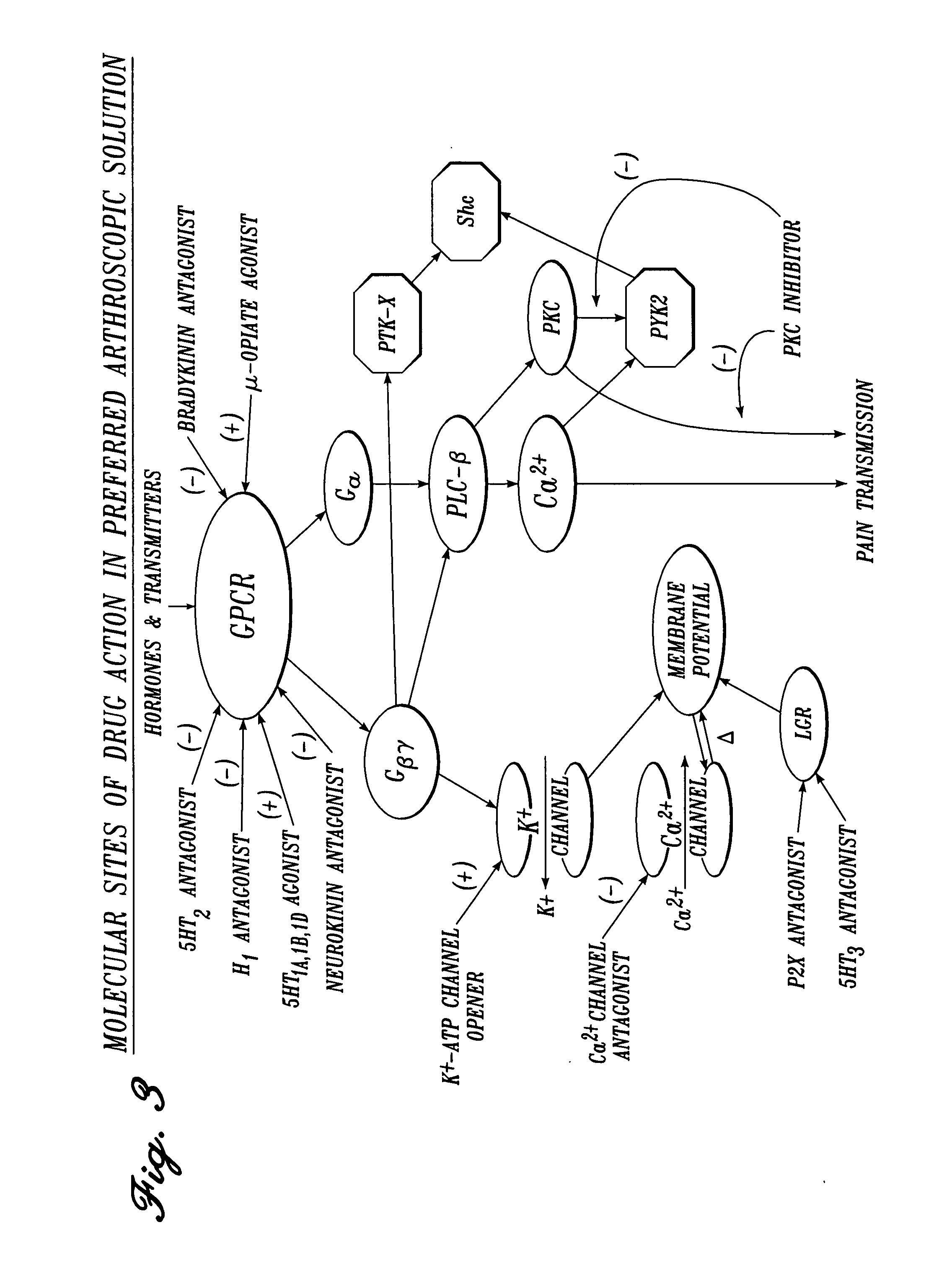 Irrigation solution and method for inhibition of pain and inflammation