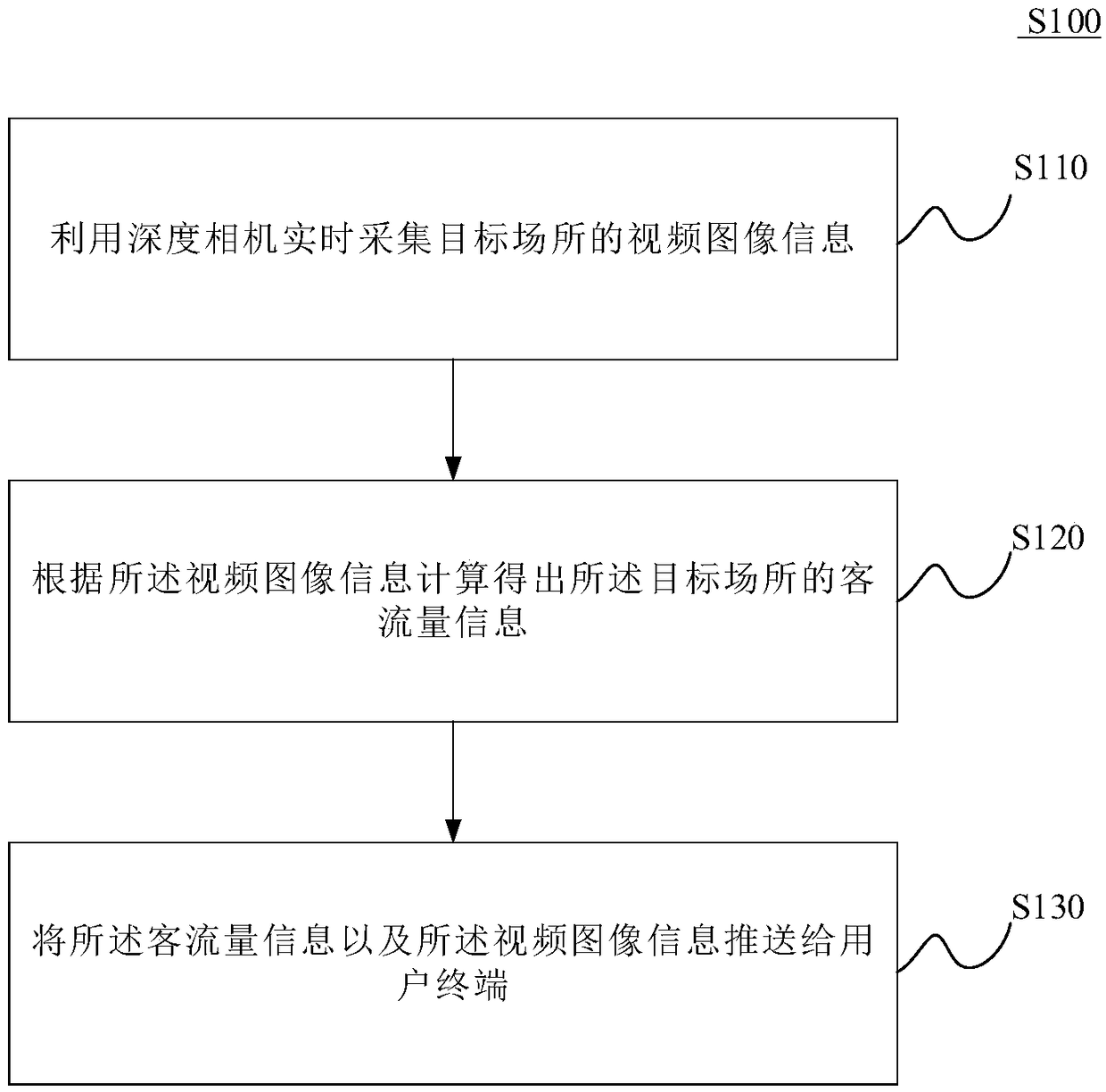 Passenger flow monitoring system and passenger flow monitoring method