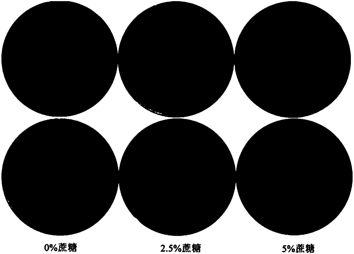 Application of sucrose lethal gene SacB in gene deleted reverse screening marker, and marker-free deleted suicide vector of sucrose lethal gene SacB