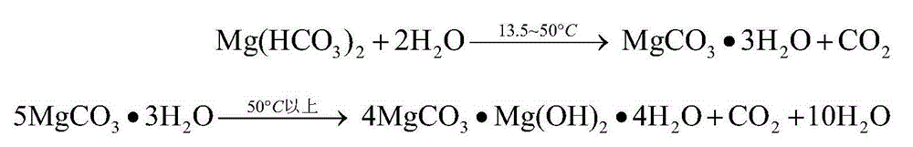 Method for extracting magnesium by means of high-pressure carbonization