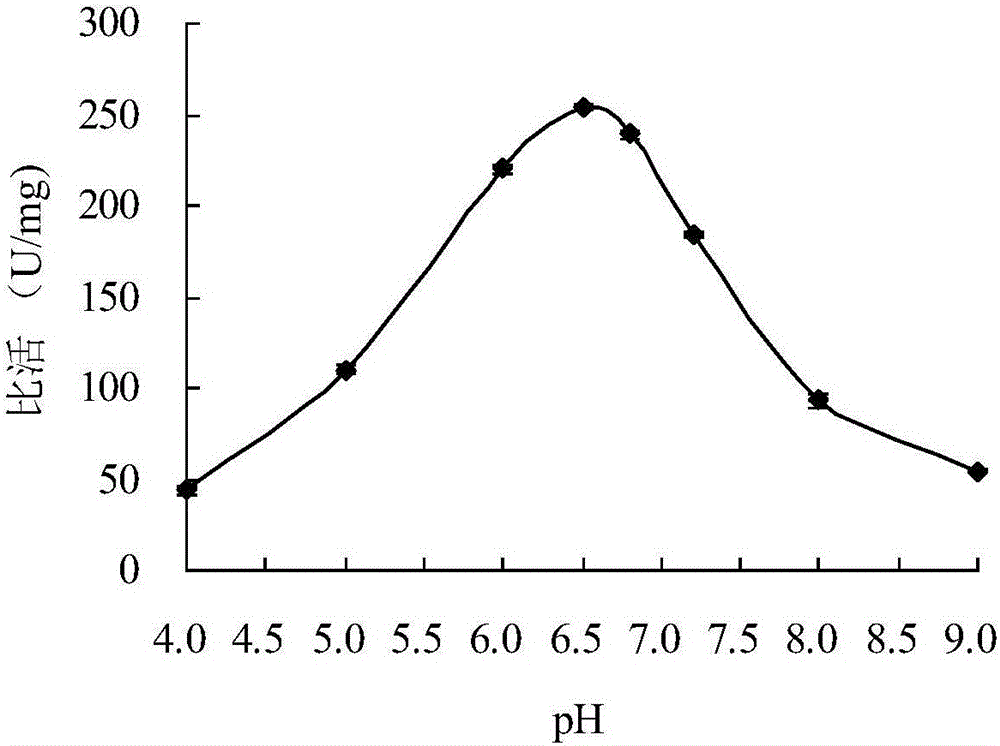 Neutral cold-adaptive xylanase CaXyn11A as well as gene and application thereof