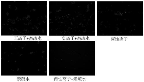 Polyurethane, preparation method and applications thereof