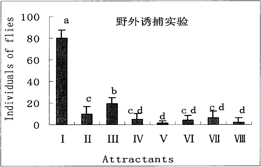 Fruit fly food source attractant and preparation method thereof