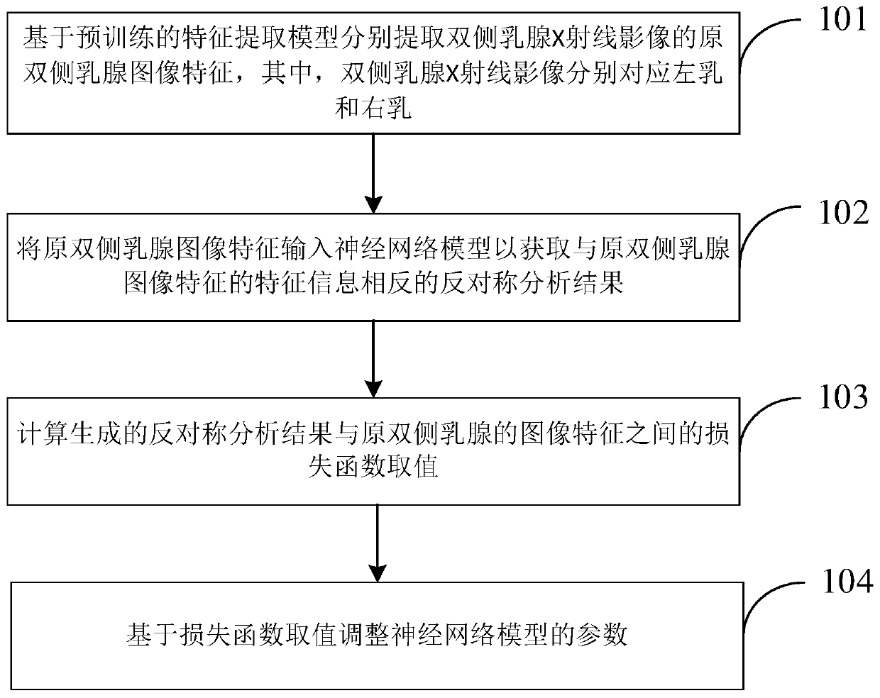 Mammary gland X-ray image antisymmetric generation analysis model training method and device