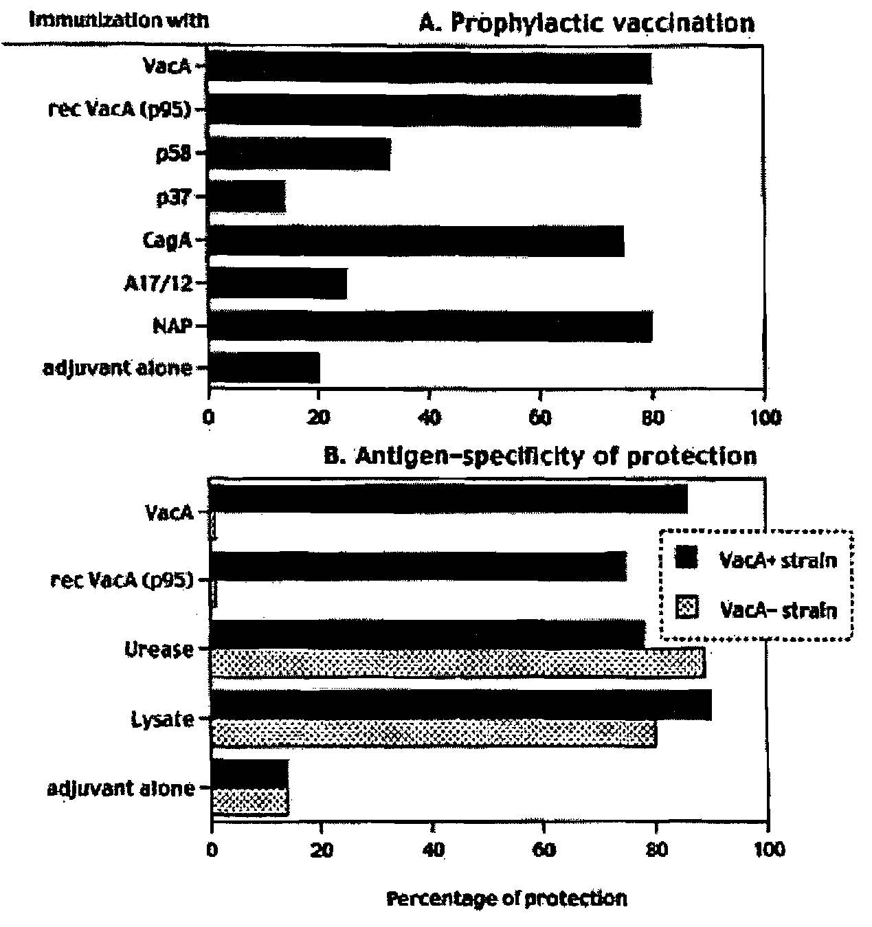 Helicobacter Pylori Vaccination