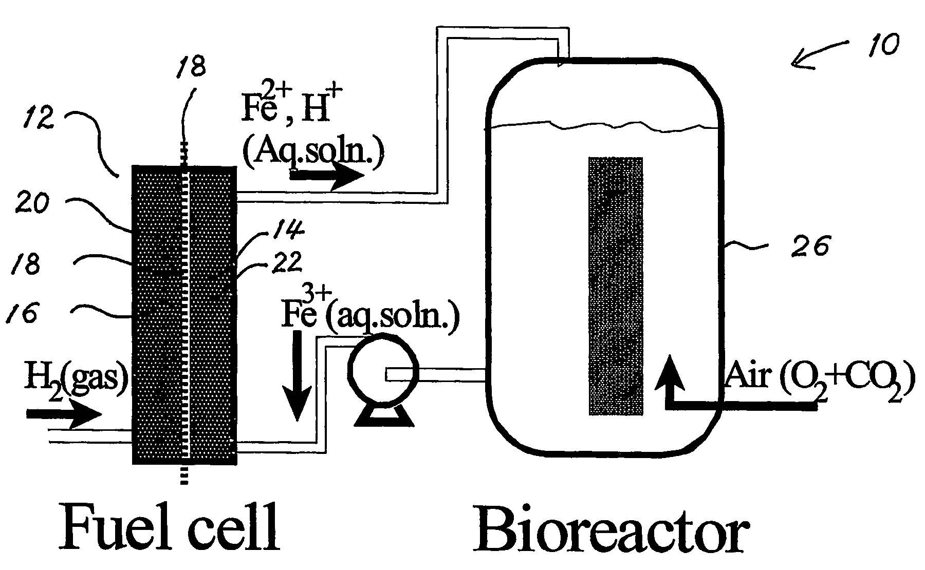 Biofuel cell