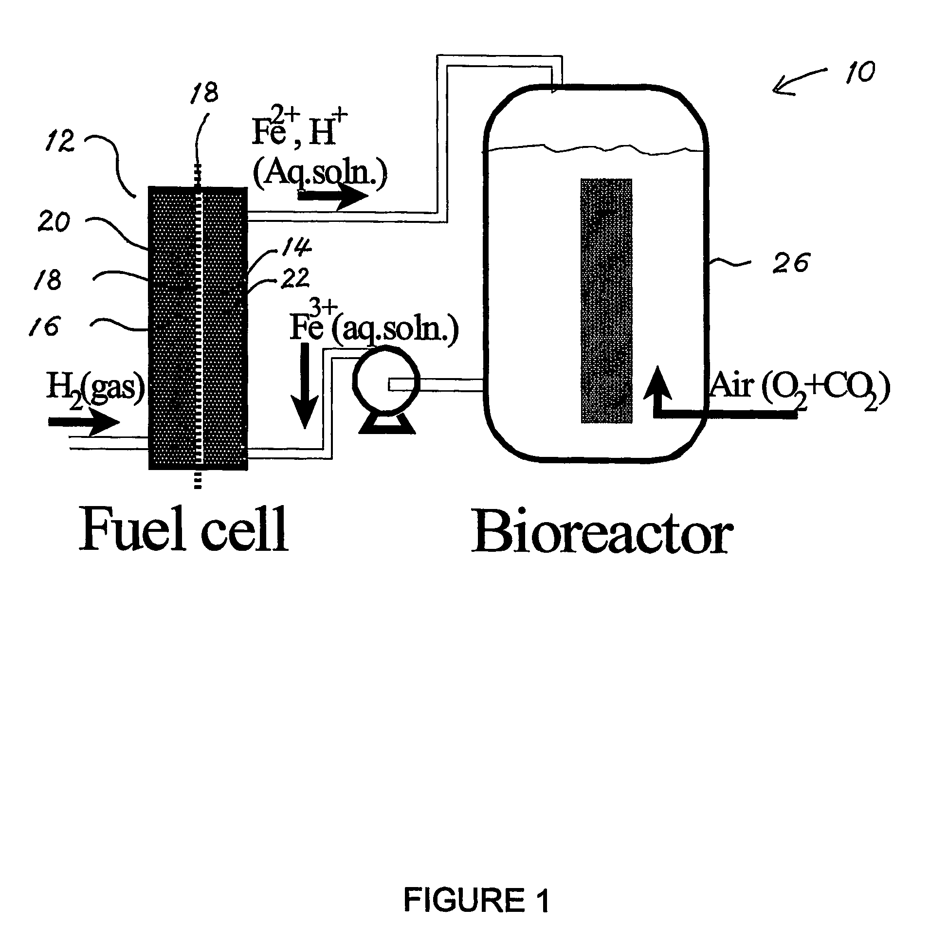 Biofuel cell