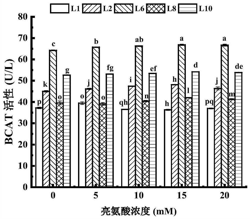 Lactobacillus fermentum YZU-06 and application thereof