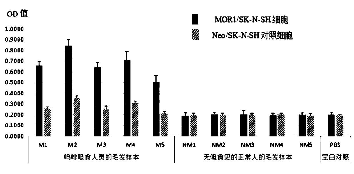 Detection method for opioid active substances based on cell dopamine release effect and detection kit for opioid active substance