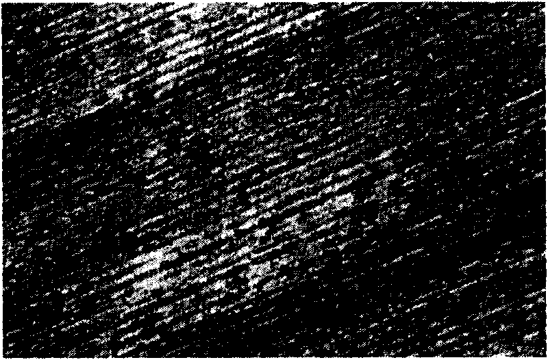 Coarsening solution for electroplating pretreatment on surface of semiconductor N\P type cooling wafer and related electroplating pretreatment process